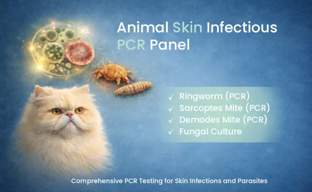 Animal Skin Infectious Disease Panel