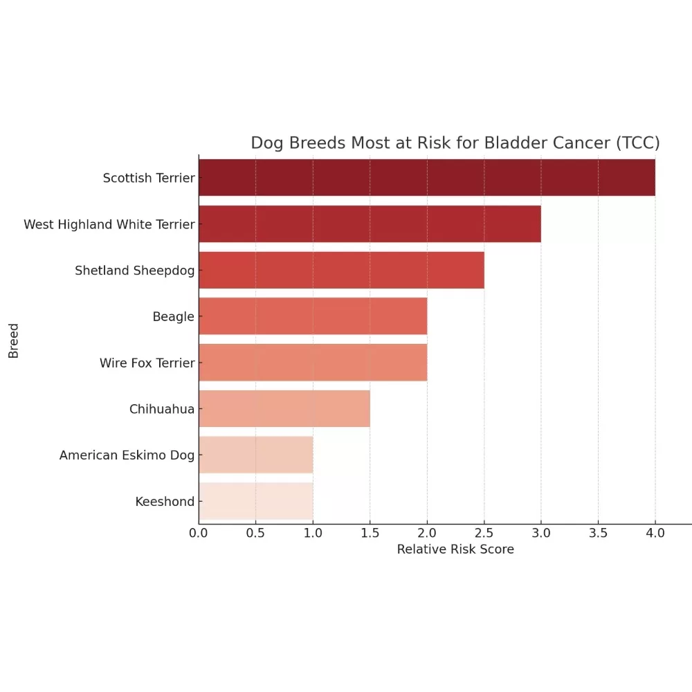 Elevated Risk Requires Targeted Testing