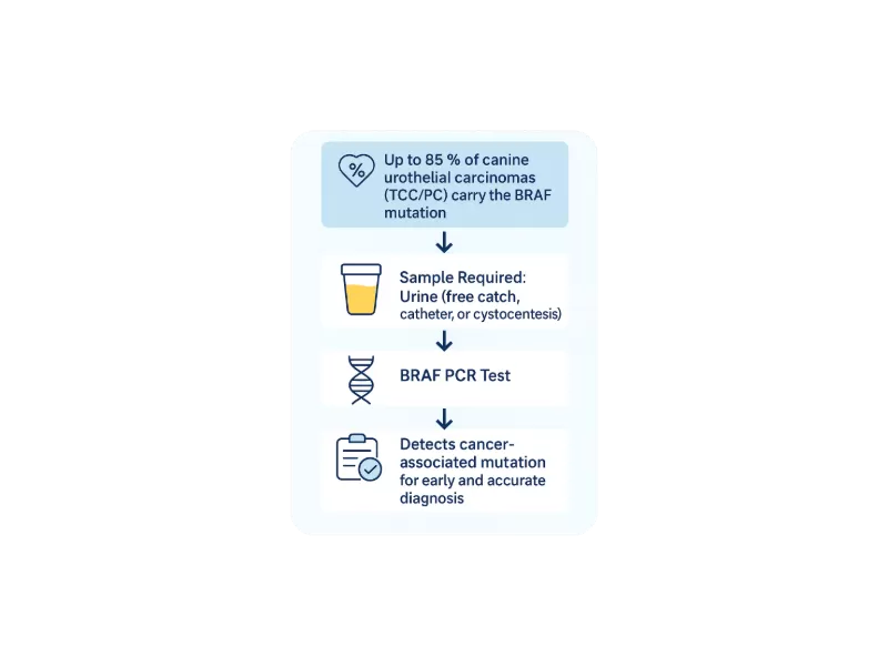 Simple Workflow. Powerful Answers.