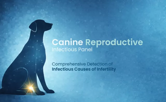 Canine Reproductive Infectious Panel 