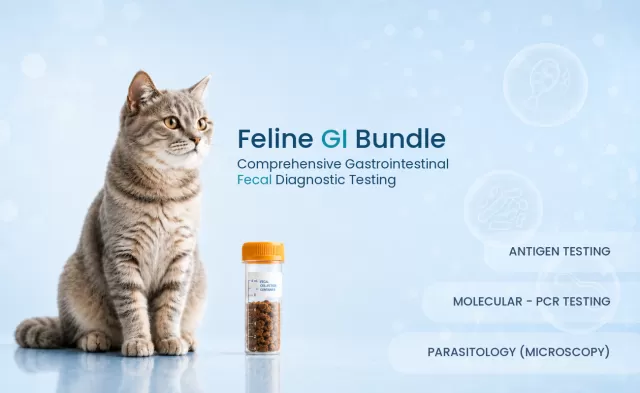 Fecal Gastrointestinal Bundle for Cats