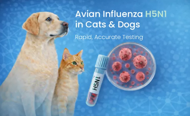 H5N1 - Avian Influenza PCR Test in Cats and Dogs